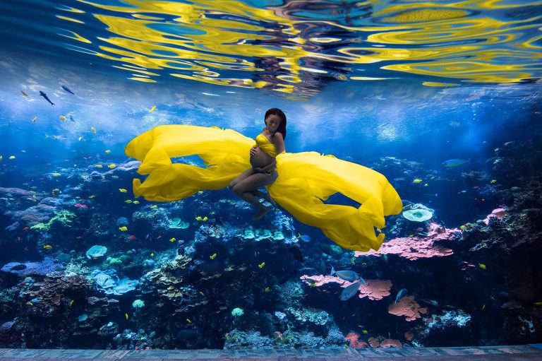 A photo of a woman who is pregnant holding her pregnant belly as she wear bright yellow fabric that is flowing around her while she takes the picture underwater where she is surrounded by water and sea life like fish, Moreland Photography, Underwater Photo, Underwater Photography, Underwater Photographer, Maternity, Maternity Portrait, Portraiture, Maternity Photo, Maternity Photography, Maternity Photographer, Underwater maternity, underwater maternity photo, underwater maternity photography, underwater maternity photographer, underwater, yellow fabric, pregnant, pregnant woman, water, sea, sea life, fish, creative lighting, underwater lighting, lighting 